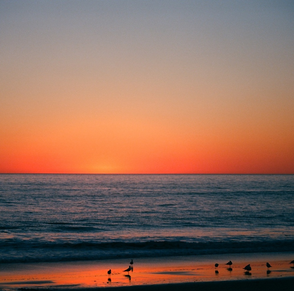 Meet your Posher, Tibbs